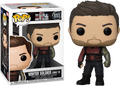 The Falcon & Winter Soldier- Winter Soldier (Zone 73) Pop!