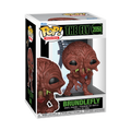 The Fly- Brundlefly Pop!