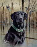 DU - Great Retrievers