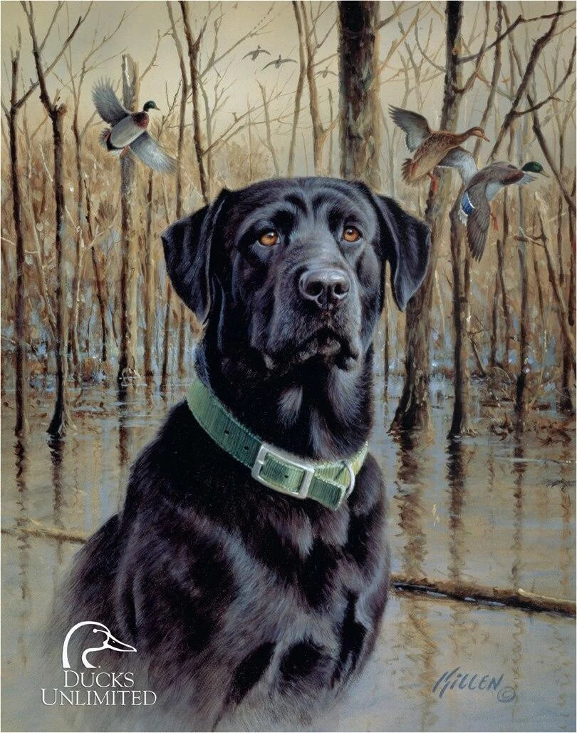 DU - Great Retrievers