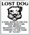 Lost Dog Lucky